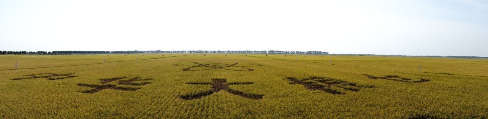 點擊瀏覽下一頁