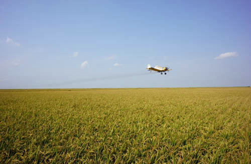 點(diǎn)擊瀏覽下一頁