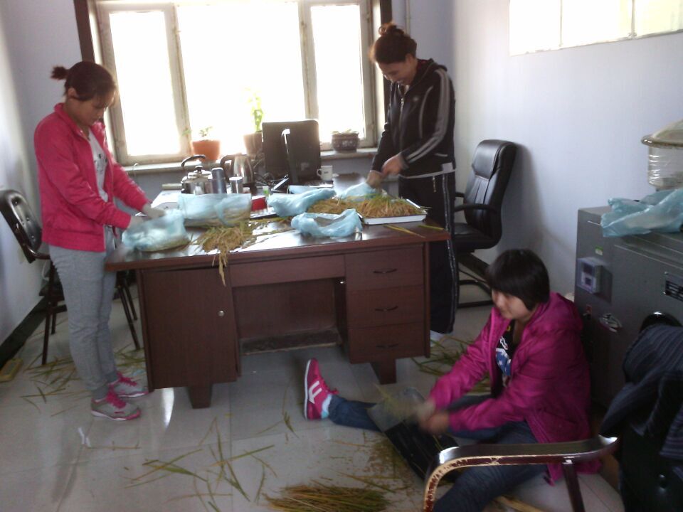 點擊瀏覽下一頁