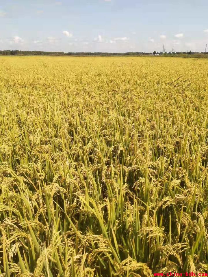 點擊瀏覽下一頁